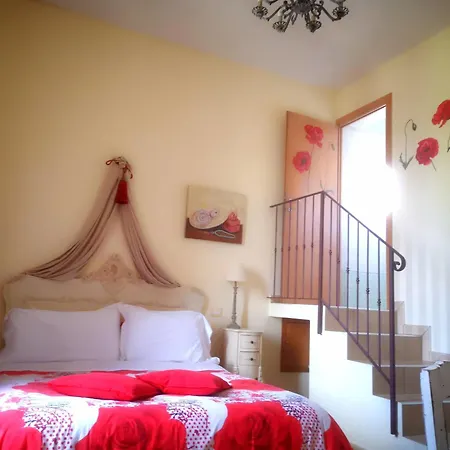 Sogno D'oro Gavignano