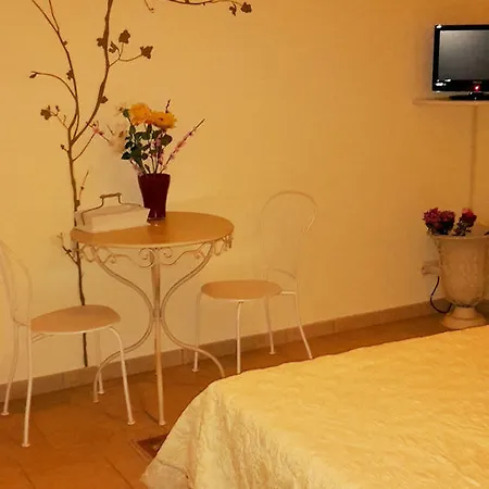 Sogno D'oro Gavignano